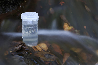 環(huán)境微生物質(zhì)譜分析