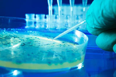 環(huán)境微生物檢測