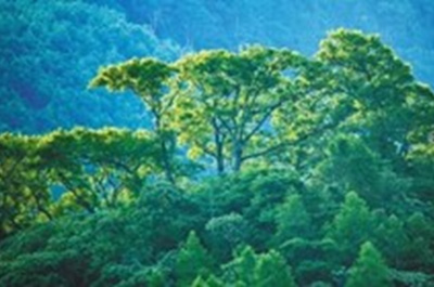 自然保護區(qū)生態(tài)環(huán)境監(jiān)測